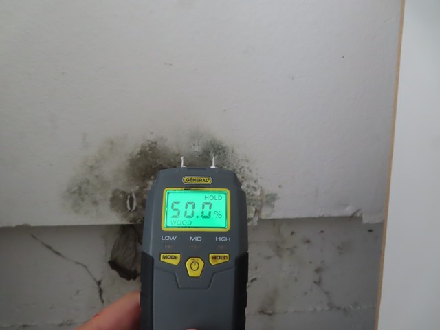 Mold inspectors in Los Angeles